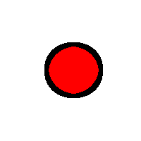 Puce_Liste