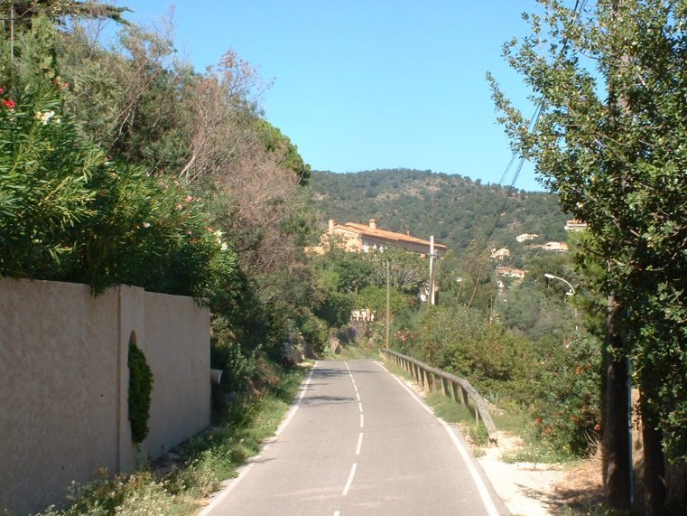 photo33