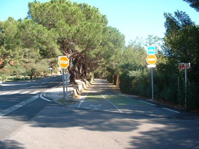 photo41