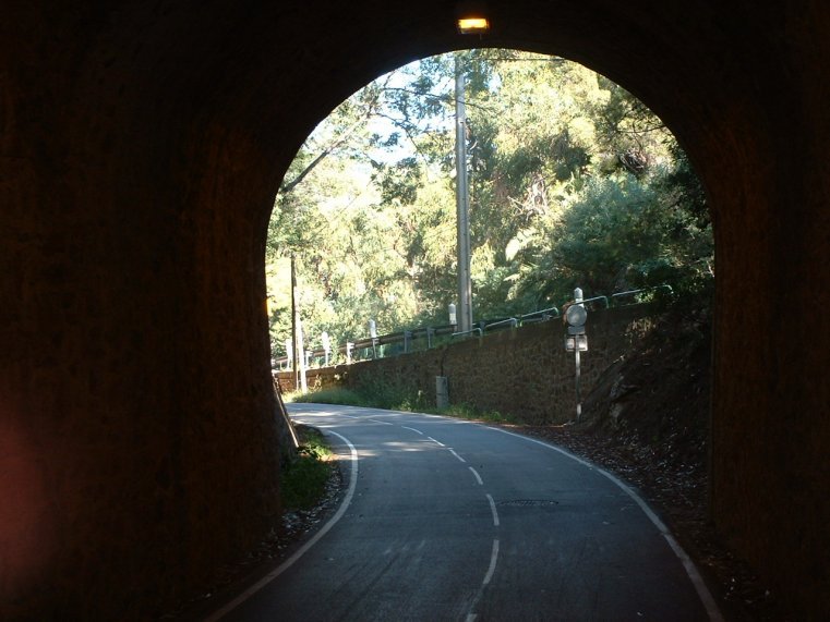 photo46