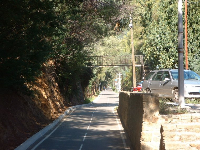 photo47