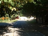 photo36.jpg