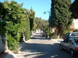 photo39.jpg