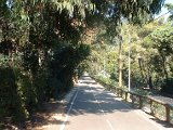 photo48.jpg