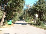 photo70.jpg