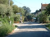 photo71.jpg
