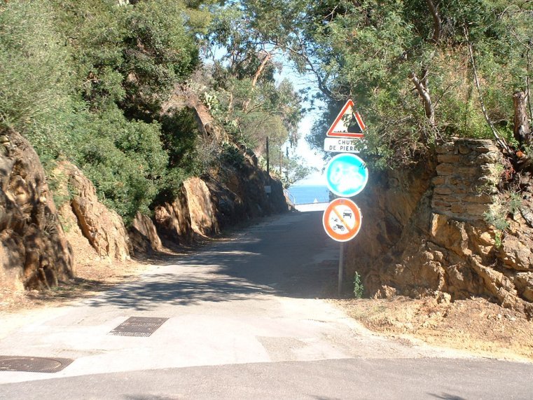 photo16