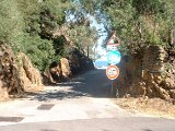 photo16.jpg