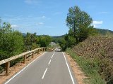 photo18.jpg
