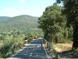 photo28.jpg
