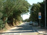 photo40.jpg
