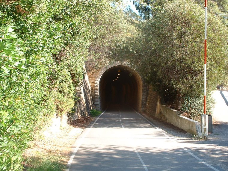 photo45