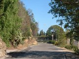 photo28.jpg