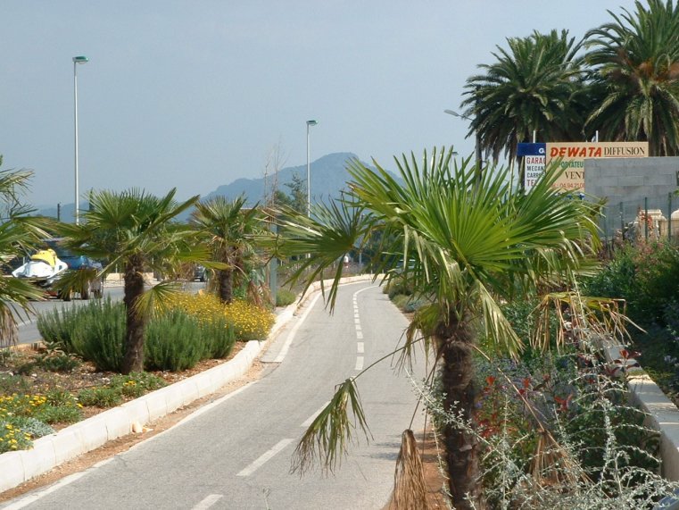 photo16