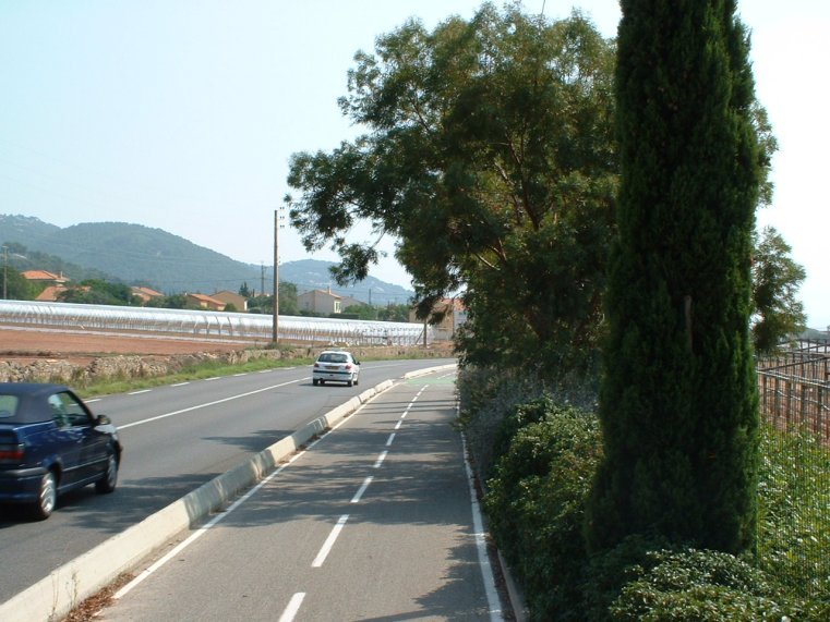 photo31