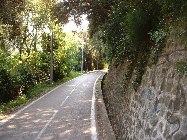 dscf0010