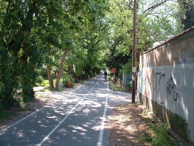 dscf0013