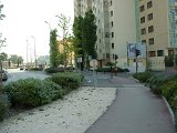 dscf0005.jpg